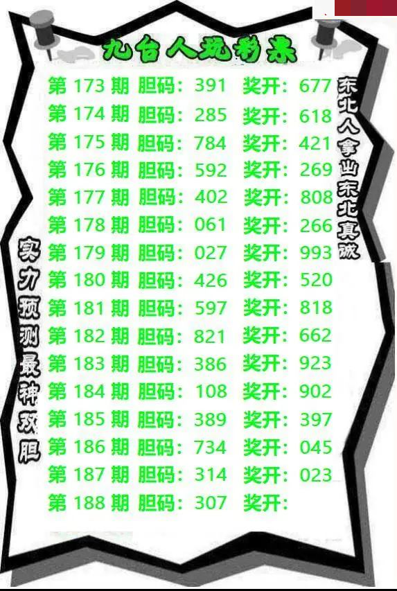 九台胆码