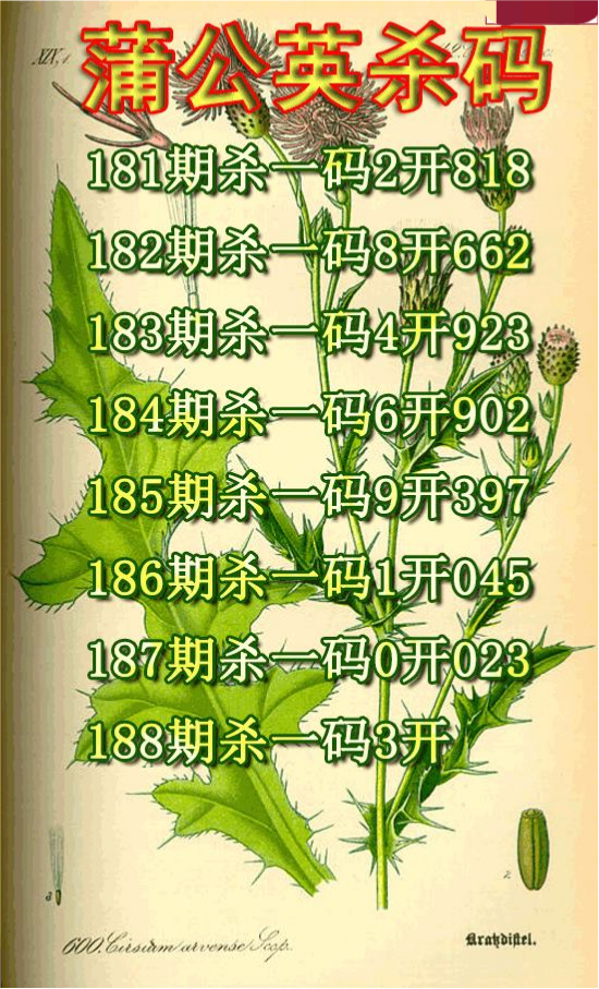 蒲公英杀码