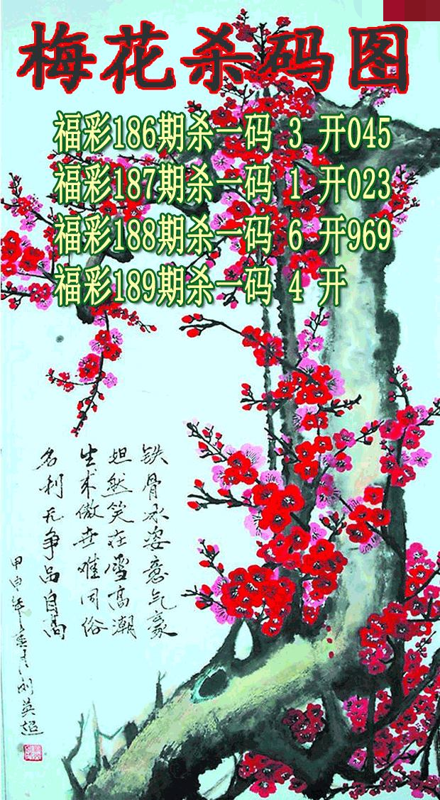 梅花杀码