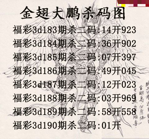 金翅大鹏杀码