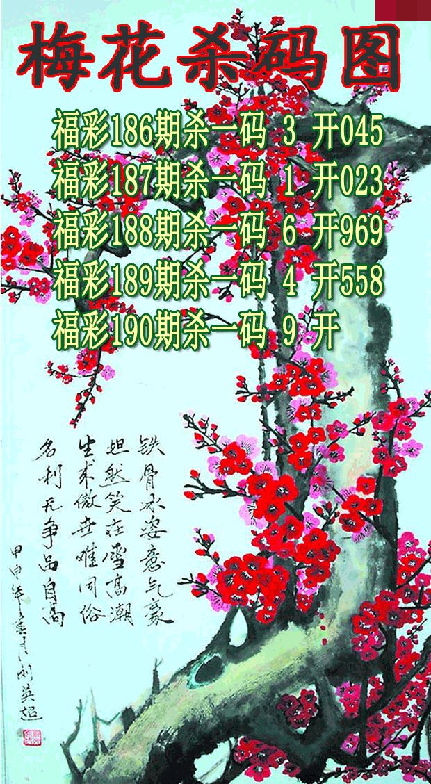 梅花杀码