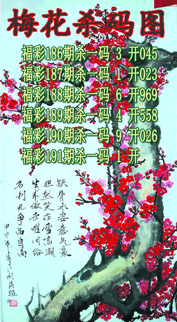 梅花杀码