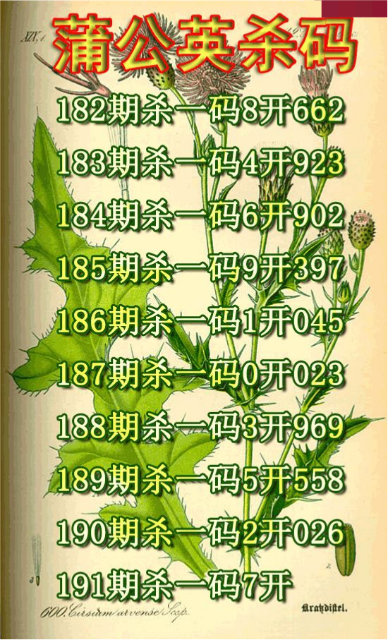 蒲公英杀码