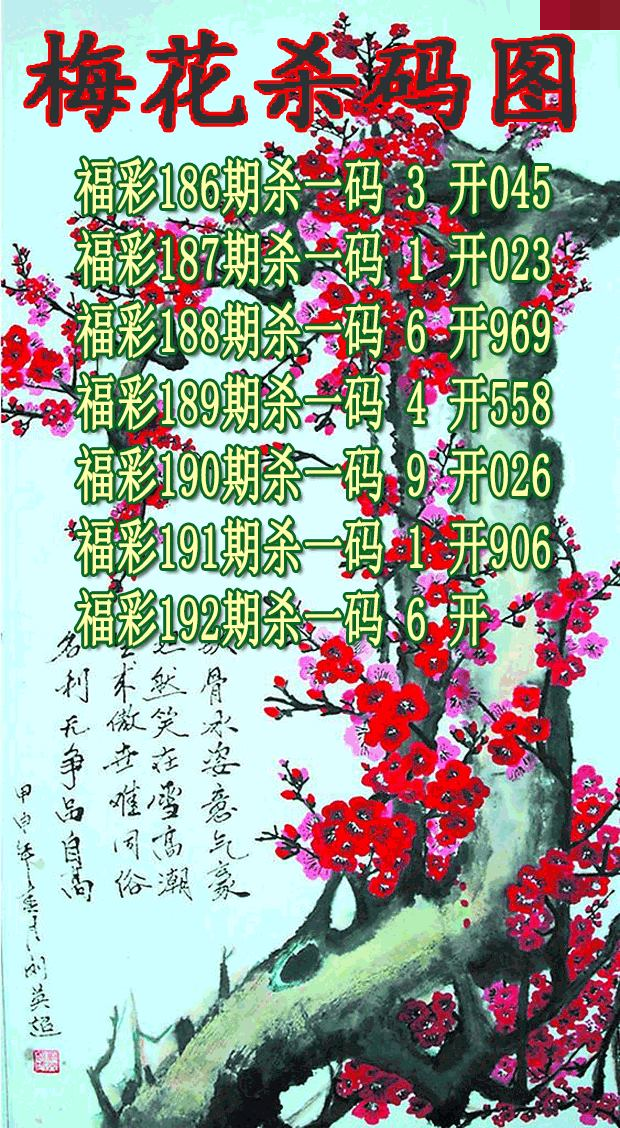 梅花杀码