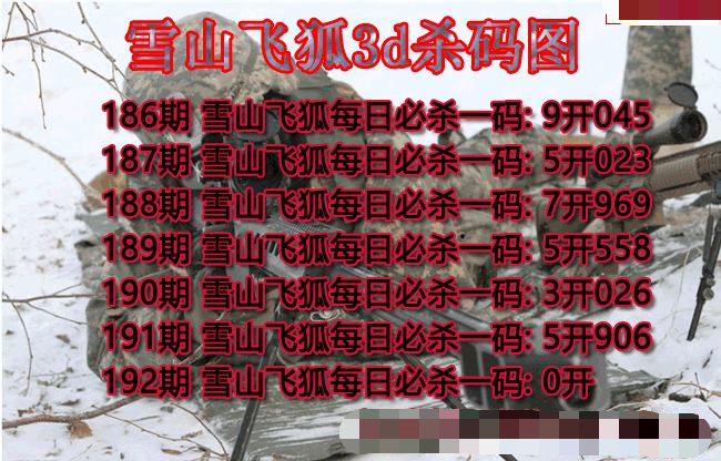 雪山飞狐杀码