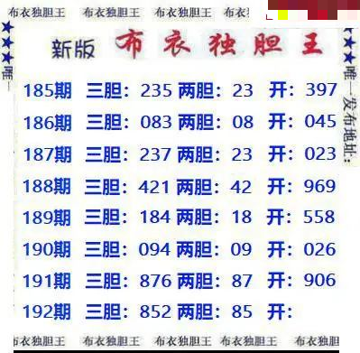 新版布衣独胆王