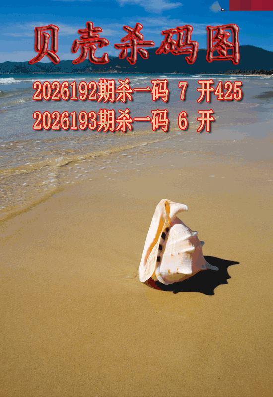 贝壳杀码