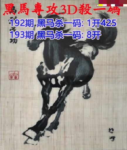 黑马杀码