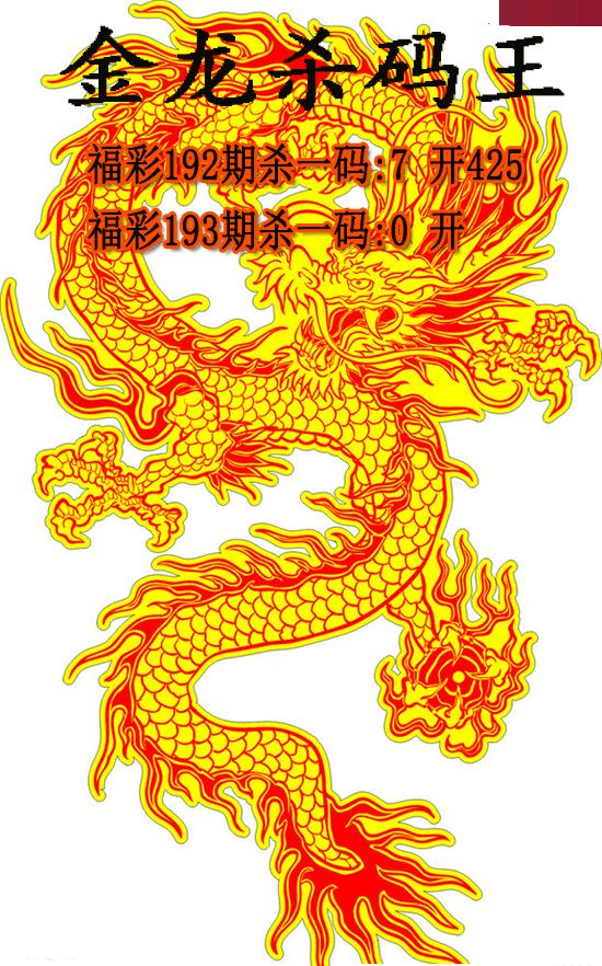 金龙杀码王