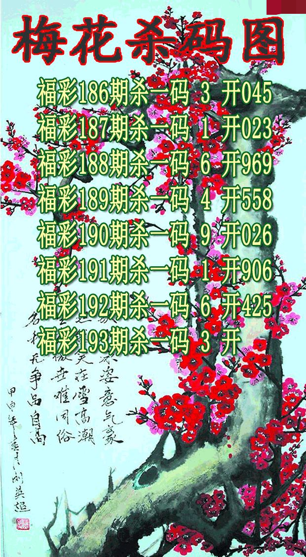 梅花杀码