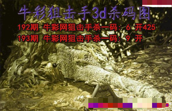 牛彩狙击手杀码