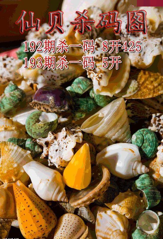 仙贝杀码