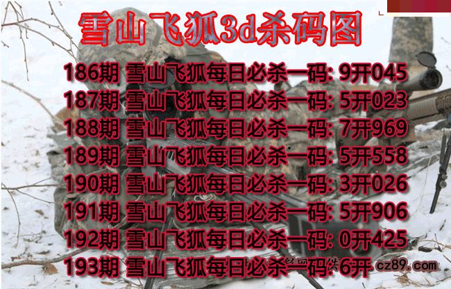 雪山飞狐杀码