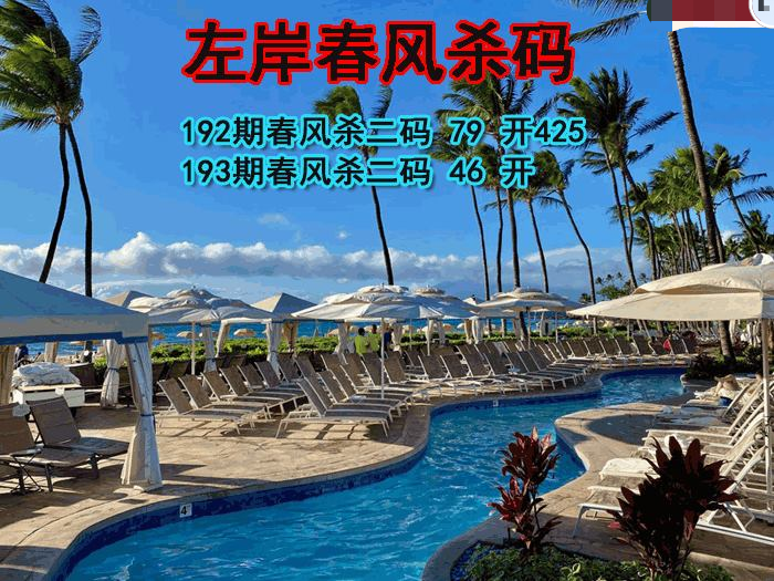 左岸春风杀码