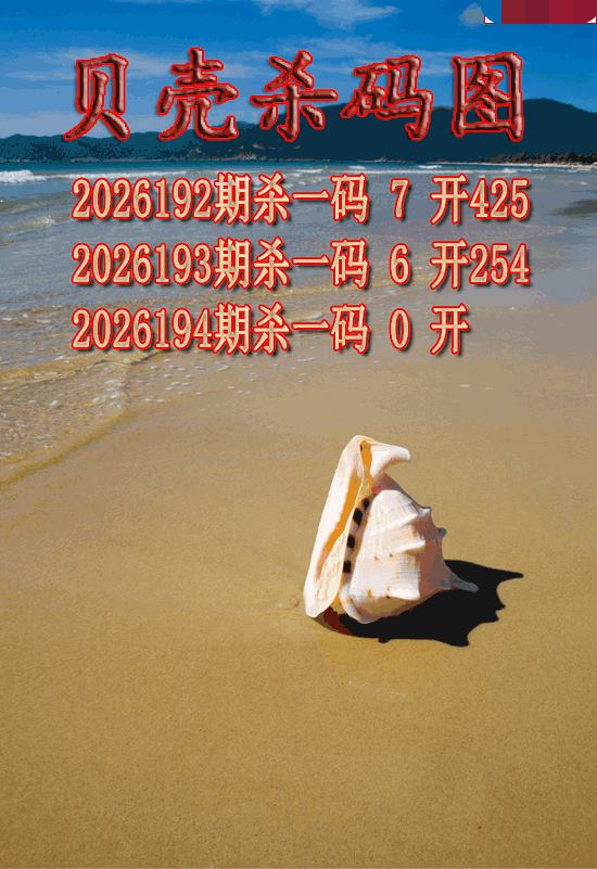 贝壳杀码
