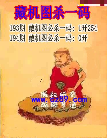 藏机图杀码