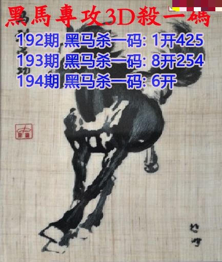 黑马杀码