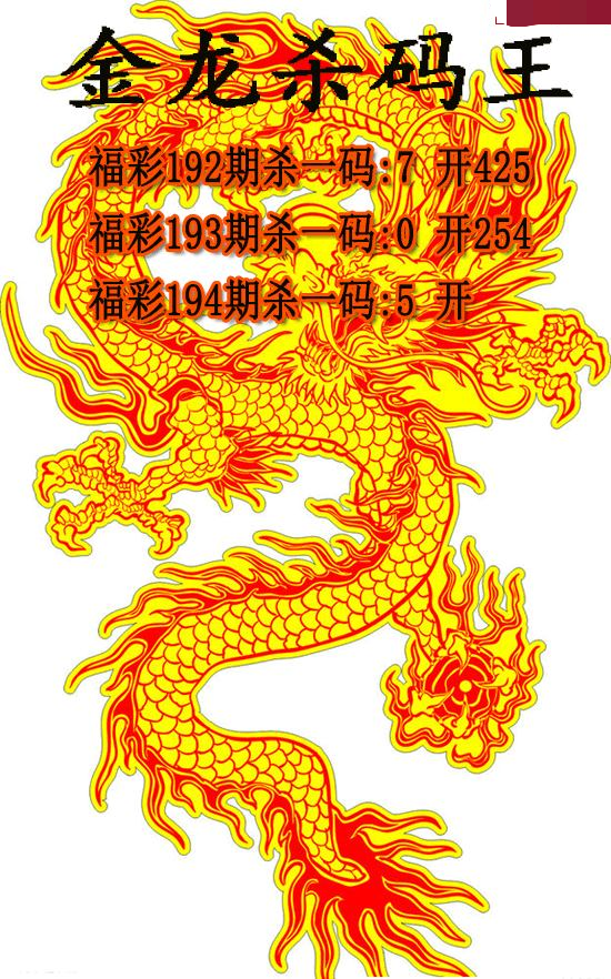 金龙杀码王