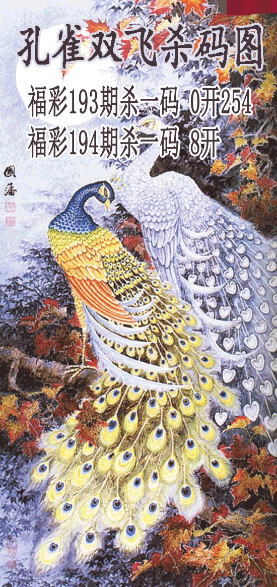 孔雀双飞杀码