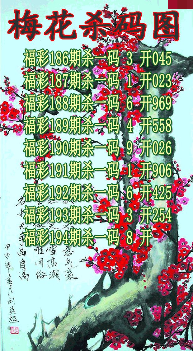 梅花杀码