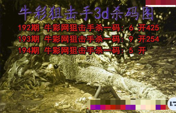 牛彩狙击手杀码