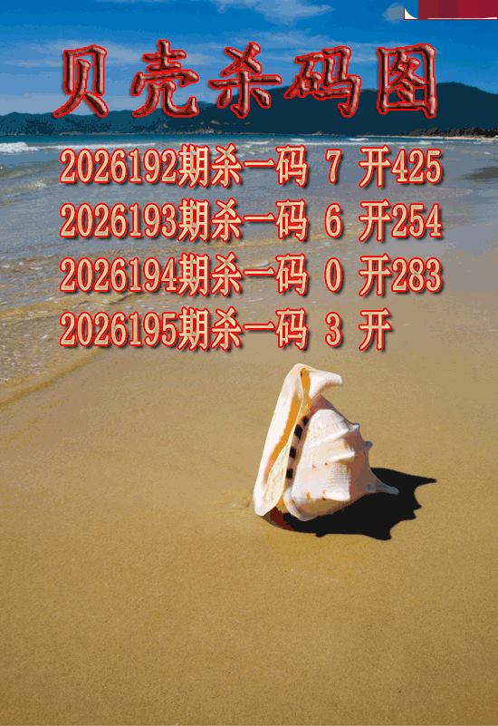 贝壳杀码