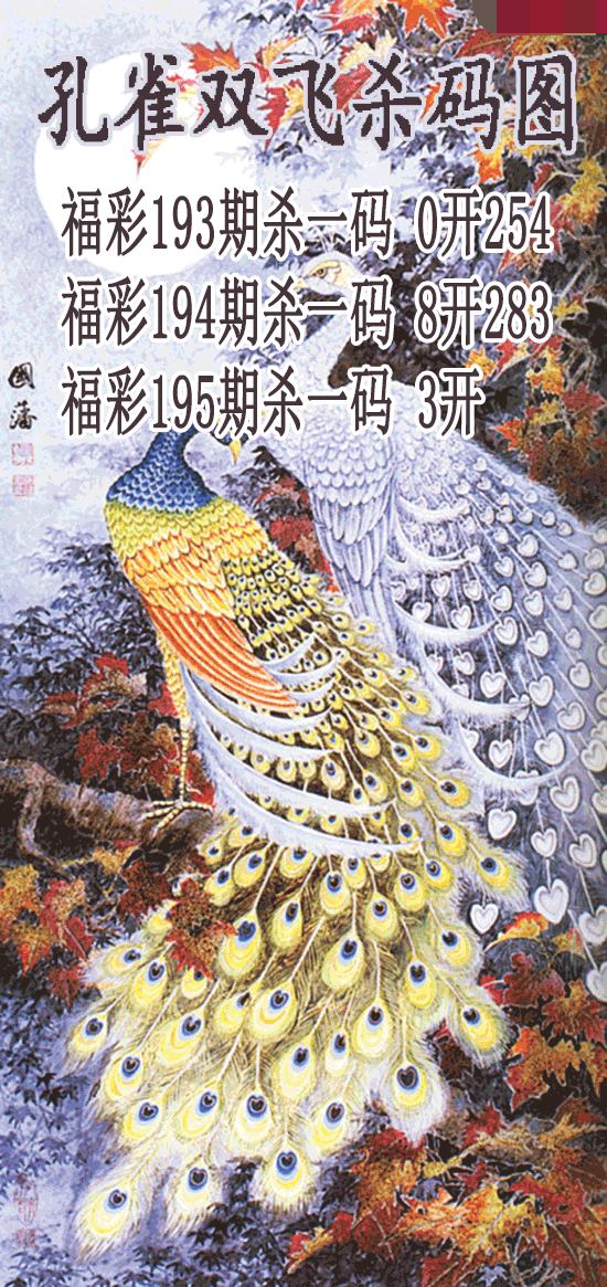 孔雀双飞杀码