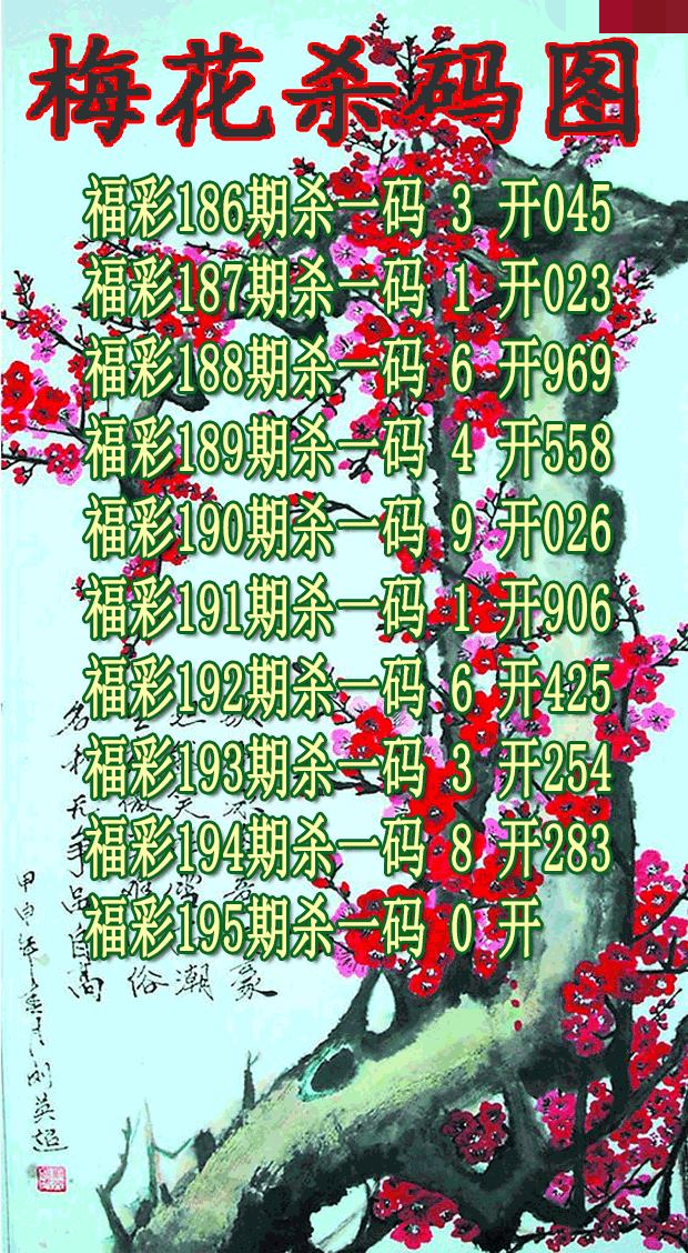 梅花杀码