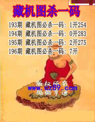 藏机图杀码