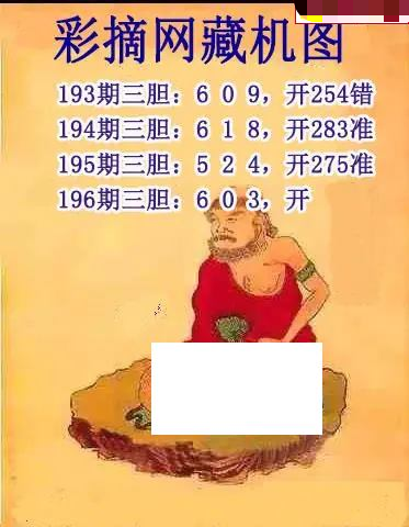 彩摘藏机图