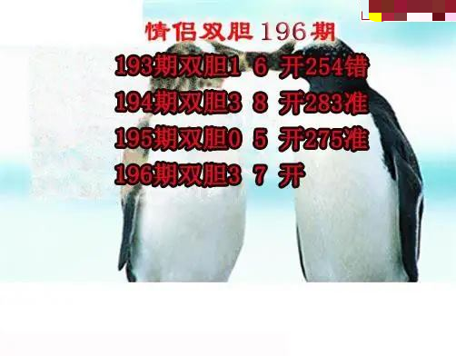 情侣双胆