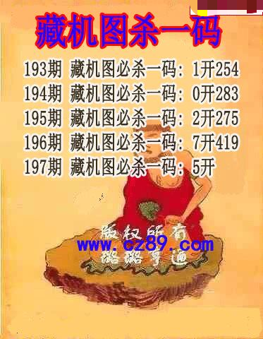 藏机图杀码