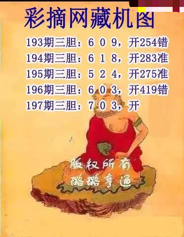 彩摘藏机图
