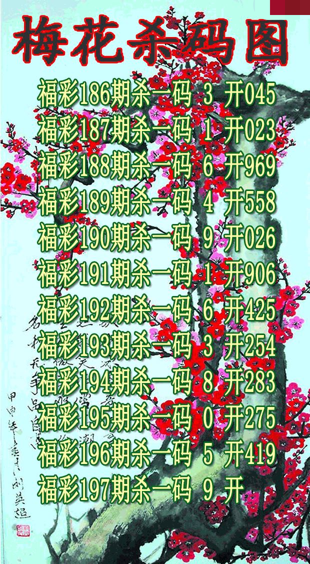 梅花杀码