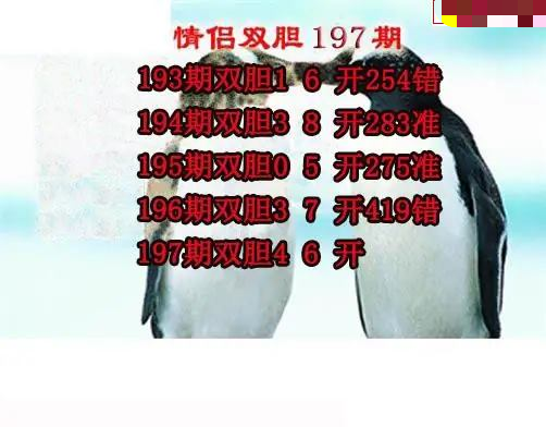 情侣双胆