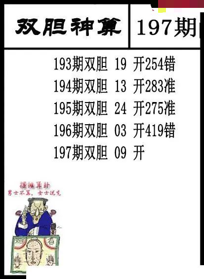 双胆神算