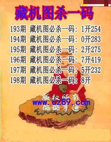藏机图杀码