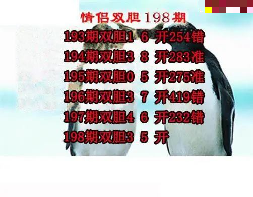 情侣双胆