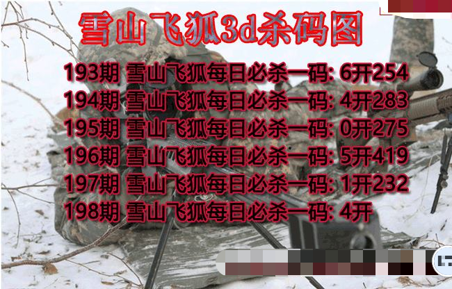 雪山飞狐杀码