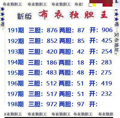 新版布衣独胆王