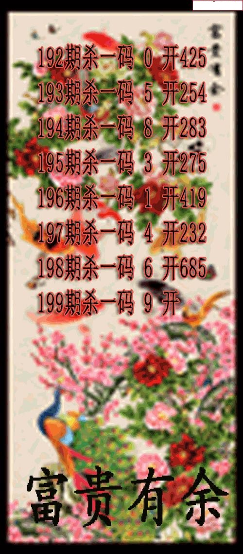 富贵有余杀码