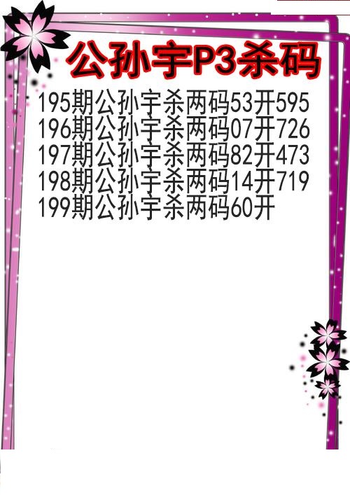公孙宇杀码图