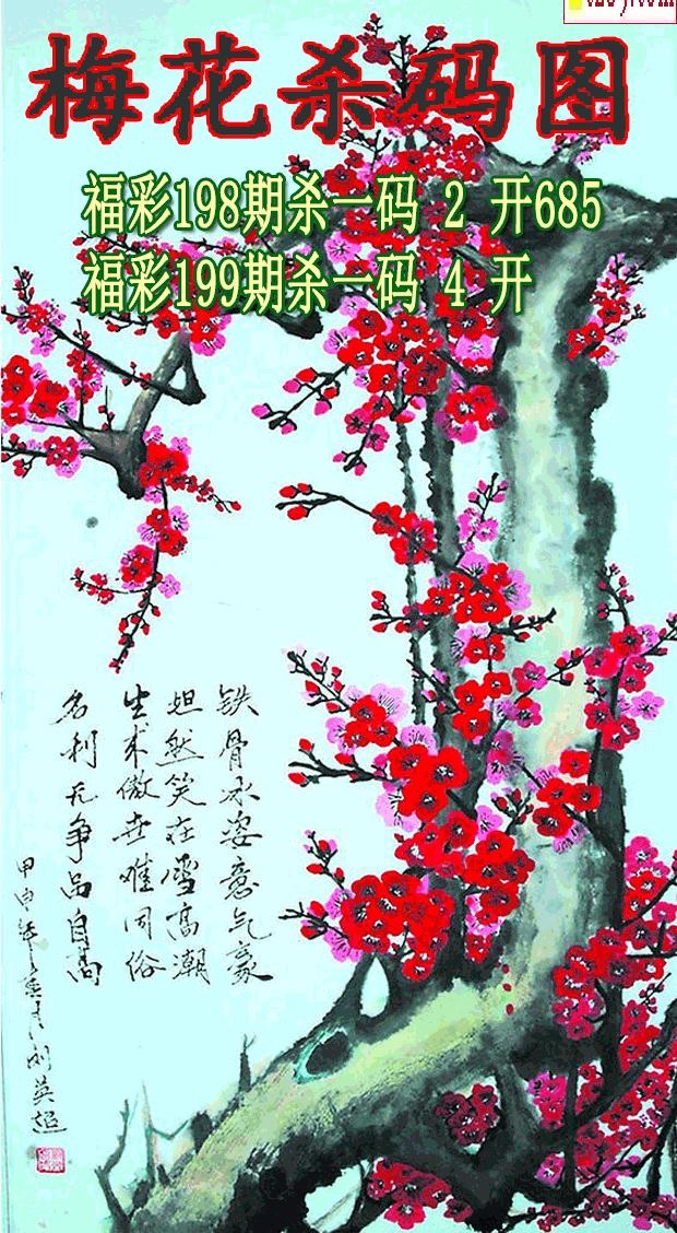 梅花杀码