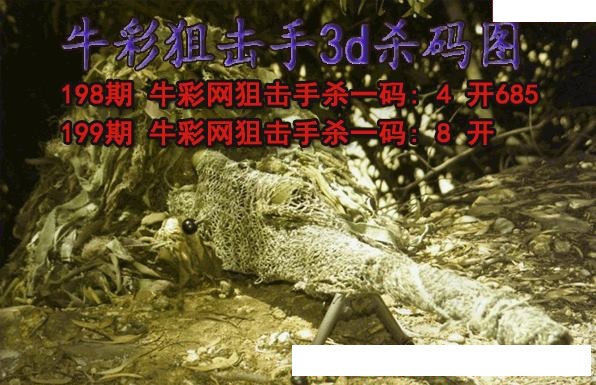 牛彩狙击手杀码