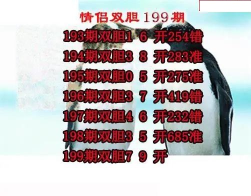 情侣双胆