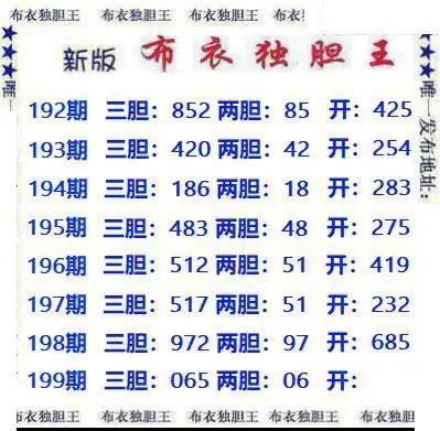 新版布衣独胆王