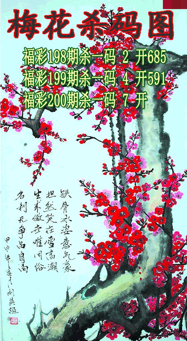 梅花杀码
