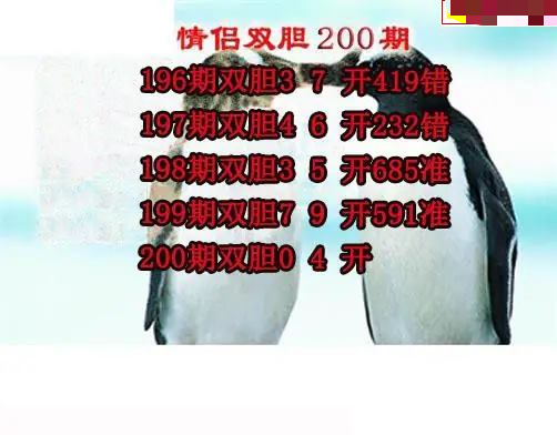 情侣双胆
