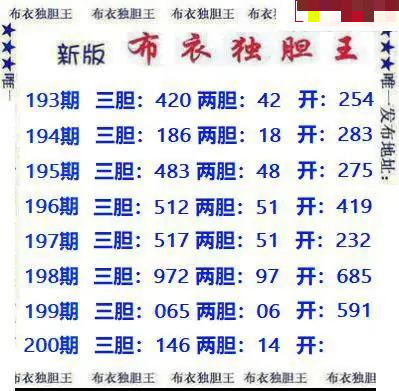 新版布衣独胆王
