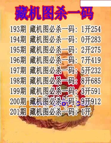 藏机图杀码